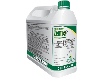 ZENTRO (5LTS)